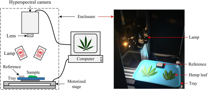 Schematic (left) and photograph (right) of a hyperspectral imaging system for acquiring images from hemp samples.