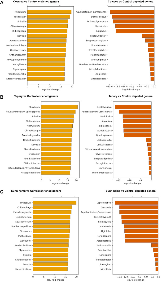 Figure composed of six bar charts comparing enriched and depleted bacterial genera between control and three legume treatments: cowpea (A), tepary (B), and sunn hemp (C). Each panel shows enriched genera in orange bars on the left and depleted genera in red bars on the right, labeled by genus with log2 fold-change on the x-axis.