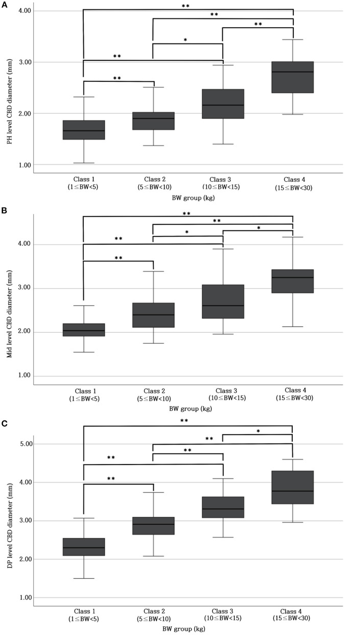 Differences in CBD diameter at PH level (A), Mid-level (B), and DP level (C) between different BW groups. There were significant differences (p < 0.05* or p < 0.001**) in CBD diameter at each level (PH, Mid, and DP level) among all BW groups. BW, body weight; CBD, common bile duct; DP, duodenal papilla; Mid, mid-portion; PH, porta hepatis.