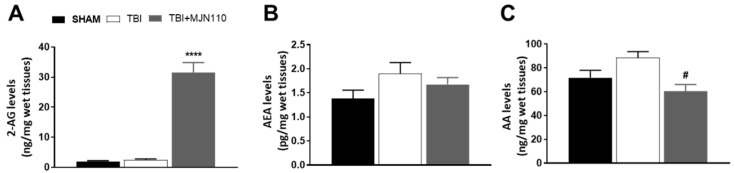 Administration of MJN110 elevated the brain levels of 2-AG and reduced the production of AA in TBI mouse brain. Fresh ipsilateral mouse cortical tissues on day 4 post-TBI were subjected to LC-MS/MS analysis. (A) 2-AG levels were significantly increased in the MJN110 (2.5 mg/kg)-treated group compared to the sham and TBI/vehicle groups (**** p < 0.0001). (B,C) Levels of AEA and AA were examined by LC-MS/MS, and the production of AA was reduced by MJN110 treatment (# p < 0.05 vs. TBI/vehicle group). (n = 5 animals in each group; bars represent means ± SEM).