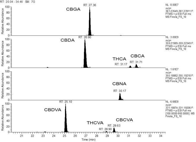 Extracted ion chromatogram for the acidic forms of phytocannabionids (CBGA, CBDA, THCA, CBDVA, and THCVA) identified according to analytical standards. The retrospective data analysis reveals the presence of CBCVA.