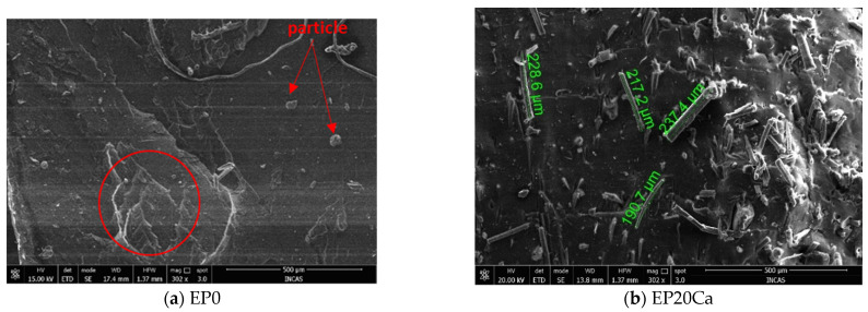 SEM micrographs of EPDM/hemp fiber composites (a) EP0 and (b) EP20Ca.