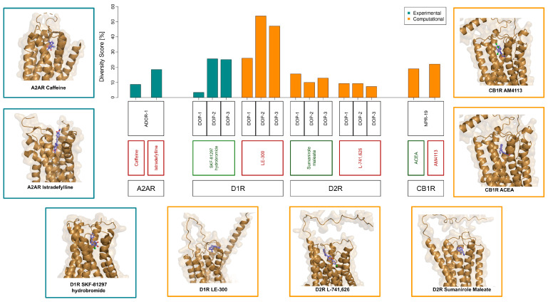 Diversity score of GPCR ligand-binding sites between human and C. elegans. The diversity score (Ds) was calculated for each GPCR/ligand pair to quantify the degree of structural and physicochemical divergence between human receptors and their C. elegans orthologs. For each entry, the bottom label indicates the human GPCR, the central label indicates the corresponding ligand (green and red denote agonists and antagonists, respectively), and the top label indicates the C. elegans ortholog. Bars represent Ds values and are colored according to the source of the GPCR/ligand complex used for the analysis: green bars indicate experimentally determined structures retrieved from the Protein Data Bank, whereas orange bars indicate complexes reconstructed by molecular docking. Lower Ds values correspond to higher conservation of the ligand-binding site. Representative molecular images are shown alongside the bar plot to illustrate ligand positioning within the binding pocket for both experimentally determined and docking-derived complexes, facilitating a qualitative assessment of docking results.