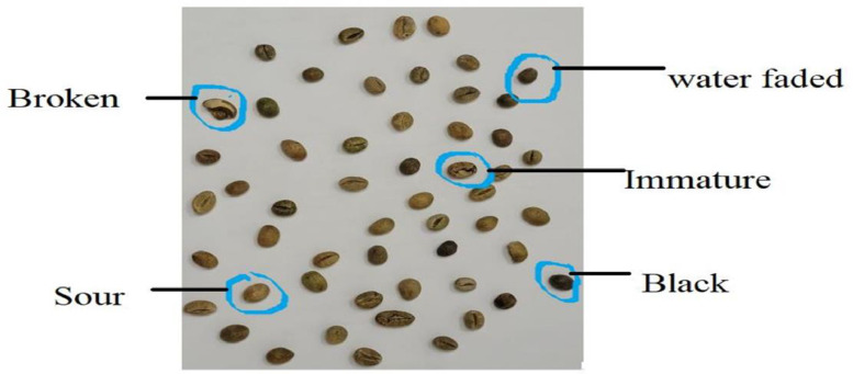Fig 3