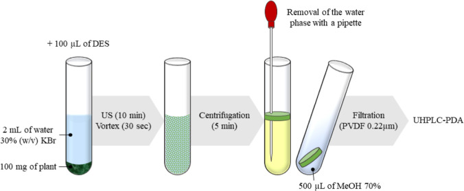 Dispersive solid–liquid microextraction (DSLME) method used for the extraction of phytochemicals from fiber-type C. sativa L. aerial parts.