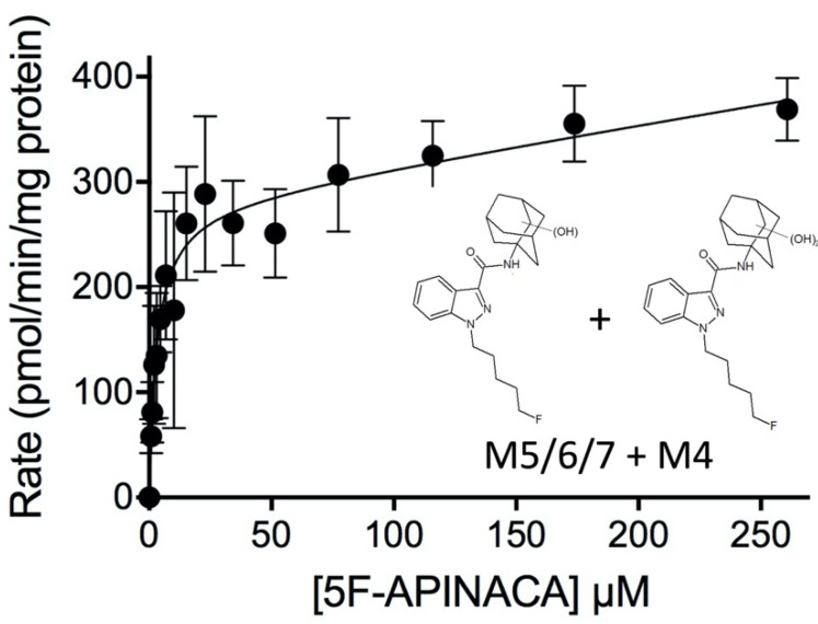 Kinetic profile for overall oxidation of the adamantyl group of 5F-APINACA. The kinetic data for mono- and dihydroxylation of 5F-APINACA (M4, M5, and M6/M7) were combined into one kinetic profile for analyzing the overall efficiency of adamantyl oxidation. The displayed curve reflects the best-fit model for the data. The corresponding mechanism and constants are reported in Table 2.