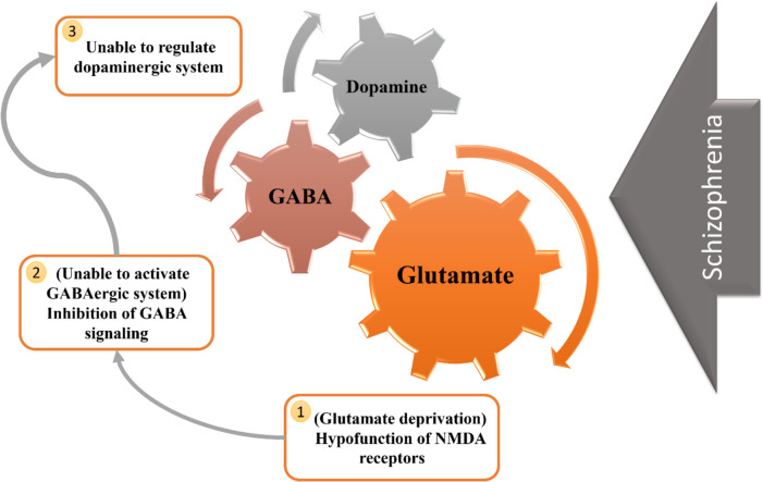 Schematic figure illustrating the GABAergic and glutamatergic mechanisms involved in schizophrenia