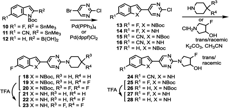 Synthesis of Compounds 21–23, 24, 27, and 28