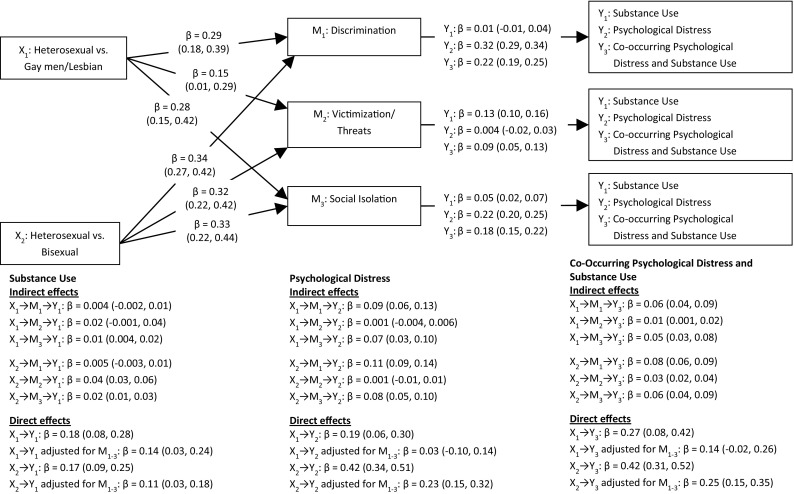 Indirect effect of sexual orientation on substance use, psychological distress, and their co-occurrence through individual/interpersonal-level mediators
