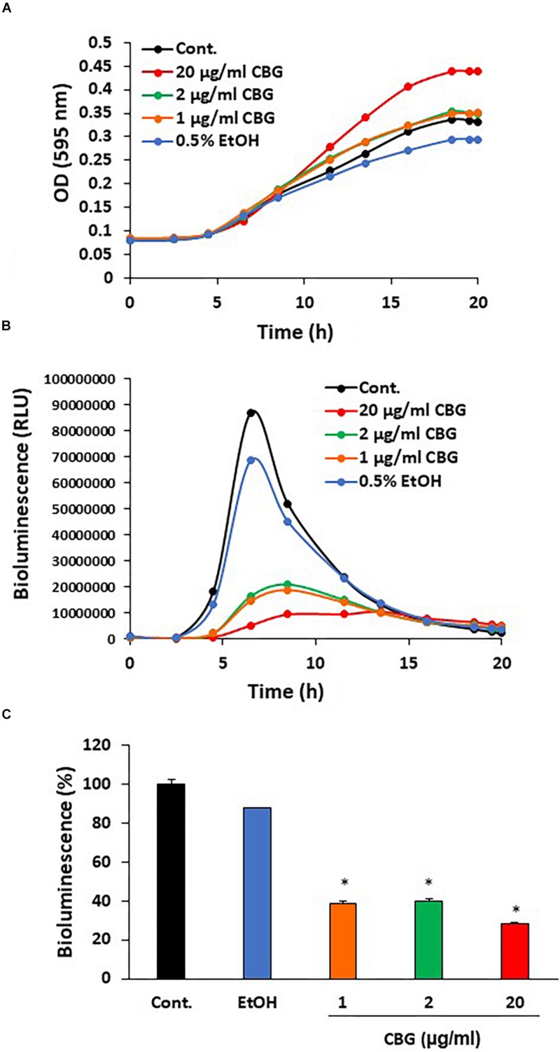 Anti-quorum sensing activity of CBG on wild-type V. harveyi (BB120). (A) CBG did not affect the planktonic growth of V. harveyi. (B) CBD strongly prevented the bioluminescence of V. harveyi. The graphs represent the average of 3 samples. (C) The relative bioluminescence as determined by the area under the curve (AUC) of the graph presented in (B) N = 3, *p < 0.05.