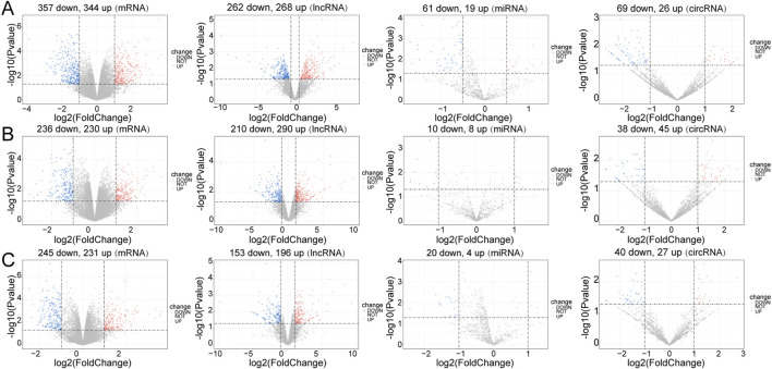 Differential expression analysis. Volcano plot for differentially expressed mRNAs (DE-mRNAs), lncRNAs (DE-lncRNAs), miRNAs (DE-miRNAs) and circRNAs (DE-circRNAs) in the three comparison groups. (A) Control vs. Case; (B) Case vs. Treatment; (C) Control vs. Treatment. Blue: downregulation, red: upregulation.