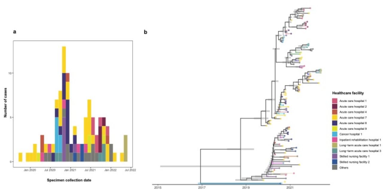 Epidemiologic and genetic description of blaNDM-1-carrying ST219 K. pneumoniae outbreak strains from Michigan.(a) Epidemic curve showing number of blaNDM-1 ST219 cases collected from different Michigan healthcare facilities from 2019 to 2022. (b) Time-calibrated phylogeny of outbreak genomes with gray bars indicating the 95% confidence interval of ancestral date. Edges are the same color if from the same patient and black otherwise. Tips are colored by healthcare facility of collection, with gray representing all facilities with less than 3 cases identified. The outlier isolate with a common-ancestor predating the outbreak is highlighted in light blue (See main text).