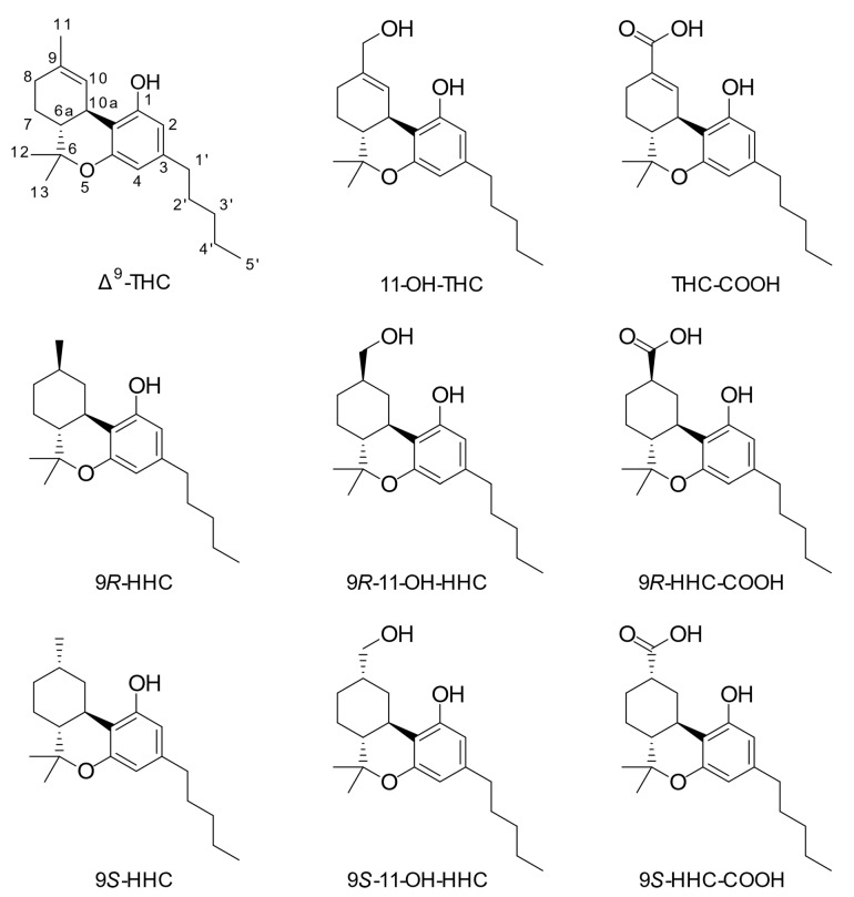Chemical structures of investigated compounds. The used numbering system is shown for Δ9-tetrahydrocannabinol.