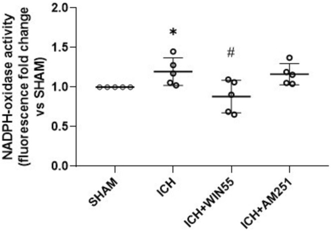 NOX activity in animals after the ICH and treated with WIN55 or AM251 (n = 5). Data are expressed as fold change of Et fluorescence relative to the SHAM group. Values were expressed as means ± standard deviation. *p < 0.05 vs. the corresponding SHAM group; #p < 0.05 vs. the ICH group.