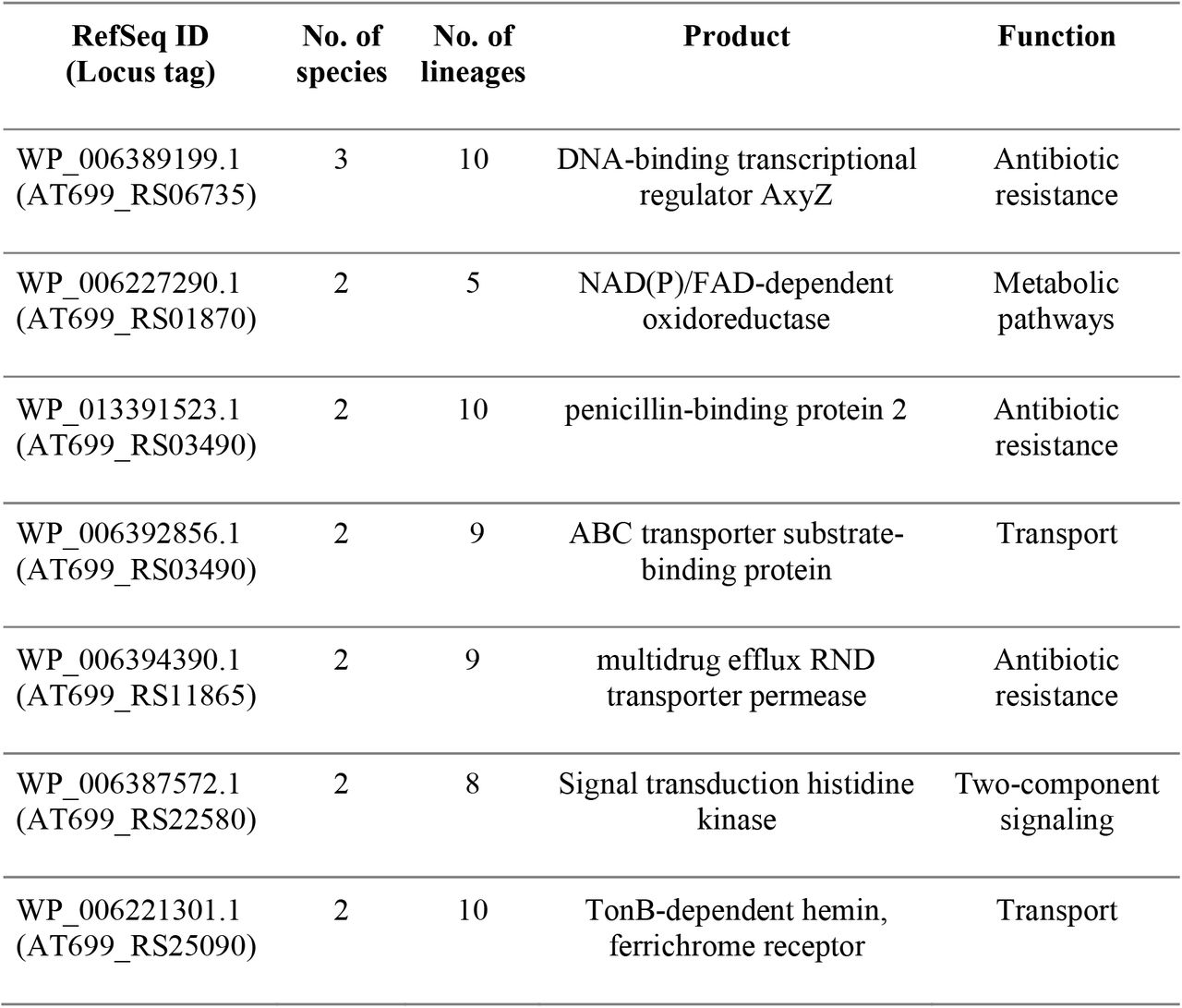 Seven most frequently mutated genes and their function.