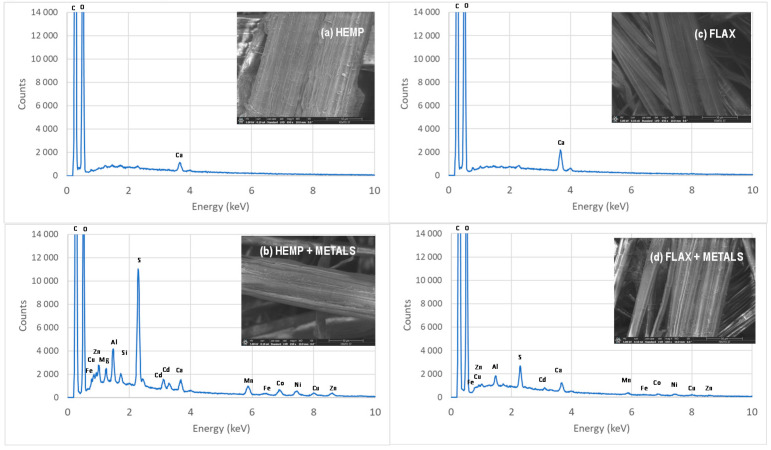 Elemental analysis using energy-dispersive X-ray spectroscopy and scanning electron microscopy images of hemp- and flax-based felts before (a,c) and after (b,d) adsorption of a solution containing a mixture of seven metals.