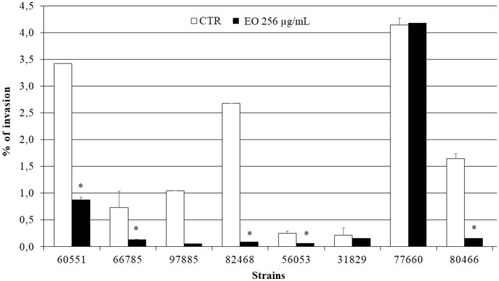 Caco-2 cell invasion by L. monocytogenes strains grown in presence of the C. sativa EO. Data are expressed as percentage (compared with the initial inoculum) of viable bacteria recovered after 2 h incubation with gentamicin (gentamicin survival test). Each column is the mean of three experiments. Asterisks indicate significant values (p ≤ 0.05) compared with control (L. monocytogenes strains grown in the absence of EO).