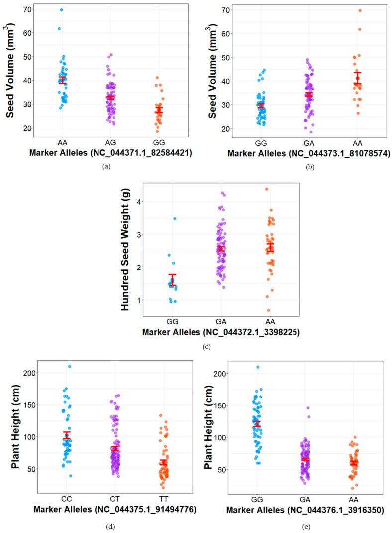 Phenotypic variation among genotypic classes at peak LOD markers in major QTLs. Phenotypes observed in the F2 population per allele group for peak LOD markers of seed volume on (a) chromosome 1 and (b) chromosome 4, hundred seed weight on (c) chromosome 3, and plant height on (d) chromosome 2 and (e) chromosome 9, with bars indicating the mean +/− standard error.