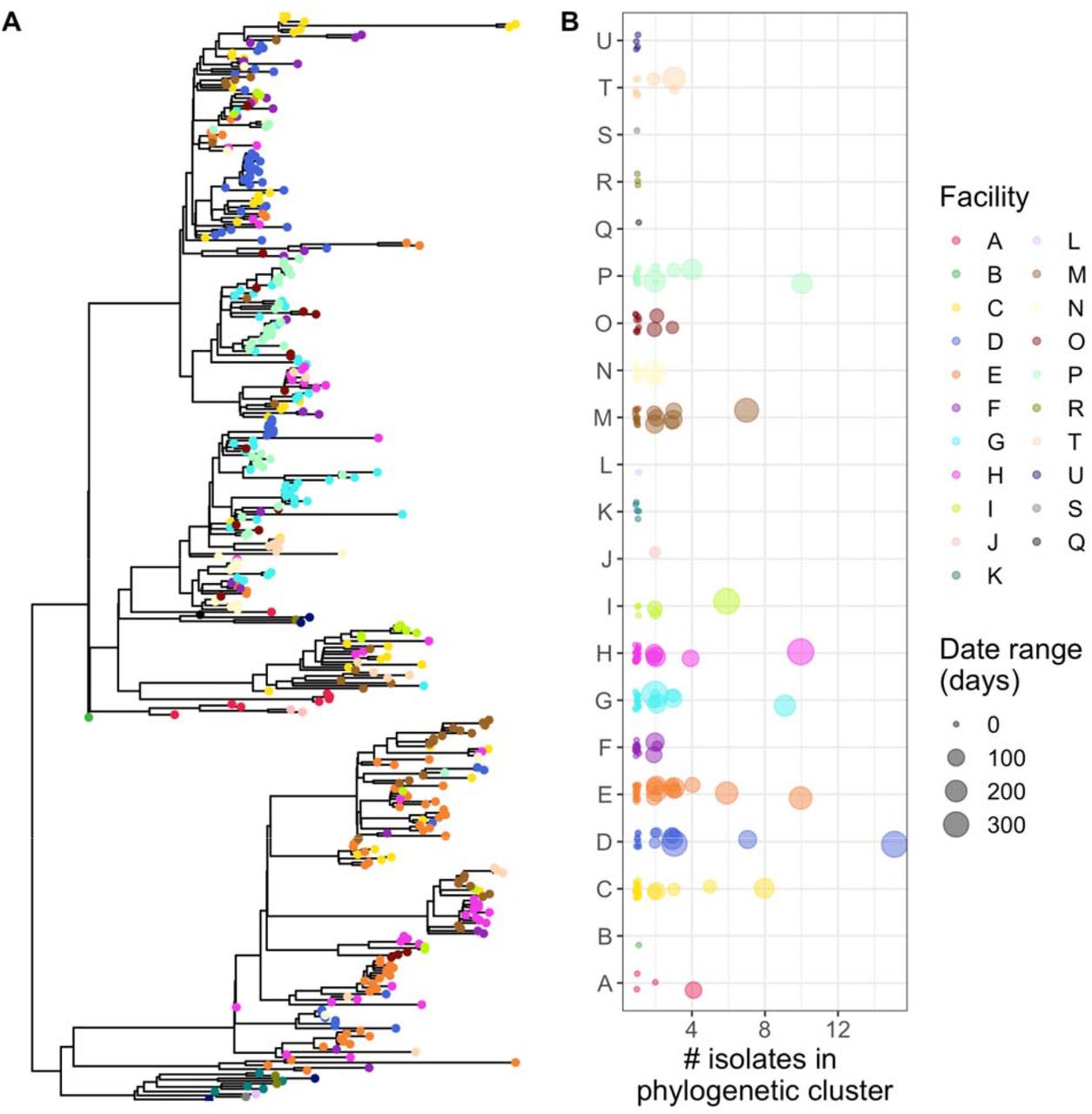 Clusters of isolates from the same facility suggest intra-facility transmission.(A) Mapping isolate location on the phylogeny provides a visual for the extent of clustering by facility. Here we can see clustering of isolates from the same facility in several subclades of the phylogeny. (B) Quantification of the size of phylogenetic clusters from a single facility using get_clusters(). The size of the points in panel B can provide insight into whether large clusters are from an intra-facility outbreak (smaller point size) or sustained intra-facility transmission (larger point size). Points in panel B are jittered for visualization purposes.