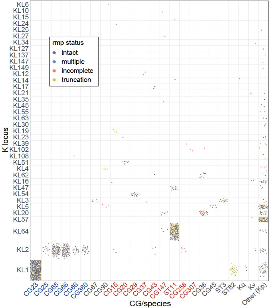 Distribution of rmp within K locus groups and KpSC clonal groups (CG) or species.Each circle represents an rmp+ genome with a confident K locus call (917 genomes), and is coloured by the functionality of the rmp locus as per the figure legend. Clonal group labels are coloured blue and red to indicate hypervirulent and MDR lineages, respectively. Kq: Klebsiella quasipneumoniae, Kv: Klebsiella variicola.