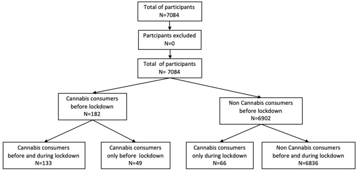 Flow chart on the recruitment of participants.