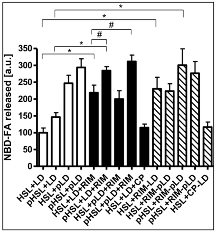 Effect of phosphorylation of HSL/LD on Rimonabant-induced lipolysis in the cell-free system. LD prepared from untreated (open, filled, hatched bars; LD) or Rimonabant (10 µM, 3 h, 37 °C)-treated (RIM-LD) or CP55.490-treated (50 µM; CP-LD) primary rat adipocytes, which had been metabolically labelled with NBD-FA, were incubated (30 min, 30 °C) with ATP in the presence (pLD) or absence (LD) of PKA catalytic subunit. Recombinant human HSL was incubated (30 min, 4 °C) with ATP in the presence (pHSL) or absence (HSL) of PKA catalytic subunit. After termination of the reactions and recovery of the LD and HSL, they were reconstituted as indicated and then incubated (90 min, 30 °C) in the presence or absence of 10 µM Rimonabant (RIM) or 50 µM CP55.490 (CP). After extraction of the total incubation mixtures with chloroform/methanol/HCl, the organic phases were analyzed by TLC. The amounts of NBD-FA lipolytically released from the NBD-FA-labelled AG1–4 were quantitatively evaluated by fluorescence imaging (mean ± SD of incubations in quadriplicate and TLC analysis in duplicate. NBD-FA released in the “HSL + LD” (absence of Rimonabant during cell-free lipolysis and adipocyte incubation, respectively) was set at 100. Values from corresponding reactions lacking exogenously added HSL were subtracted in each case in order to correct for HSL copurifying with the LD. Thus, the lipolysis activity depicted as NBD-FA released relies on the exogenously added recombinant human HSL rather than endogenous LD-associated rat HSL. * p ≤ 0.01, # p ≤ 0.05; significant differences are indicated only for physiologically relevant comparisons as discussed in the text.