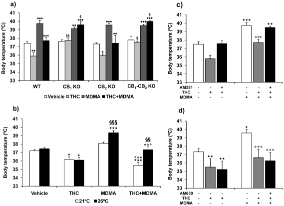 THC prevents MDMA-induced hyperthermia at warm temperature by activating CB1 receptor.Effects of pretreatment with THC (3 mg/kg, i.p.) on MDMA (20 mg/kg, i.p.)-induced hyperthermia in (a) wild-type, CB1, CB2 and double CB1/CB2 knockout animals housed at 26°±1°C, (b) wild-type animals treated with THC and MDMA at 21 and 26°±1°C, and wild-type animals treated with (c) AM251 or (d) AM630, THC and MDMA at 26°C. Body temperature was measured 30 min after MDMA injection (90 min after THC injection). Data are expressed as mean ± SEM of the body temperature increase (n = 6–7). All values are expressed as mean ± SEM. ★★ p<0.01, ★★★ p<0.001 when compared with vehicle-treated group. ⋆⋆ p<0.01, ⋆⋆⋆ p<0.001 when compared with wild-type group. § p<0.05, §§ p<0.01, §§§ p<0.001 when compared with wild-type animals or animals housed at 21±1°C (Tukey's test or one-way ANOVA).