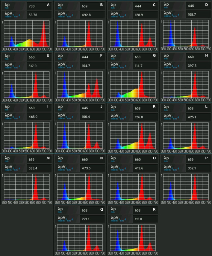 Spectral analyses of light treatments from the validation experiment. Images demonstrate relative amounts of fluencies emitted per treatment. Light spectra presented were obtained using Li-Cor LI-180 spectrometer. Presented are optimized light treatments for (A) genetic algorithm (GA) shoot length, (B) GA canopy surface area, (C) GA number of shoots, (D) GA number of nodes, (E) biogeography-based optimization (BBO) canopy surface area, (F) BBO shoot length, (G) interior search algorithm (ISA) shoot length, (H) ISA number of nodes, (I) ISA root length, (J) ISA number of shoots, (K) symbiotic organisms search (SOS) shoot length, (L) ISA canopy surface area, (M) SOS root length, (N) BBO number of nodes, (O) SOS canopy surface area, (P) SOS number of nodes, (Q) BBO number of shoots, and (R) SOS number of shoots.