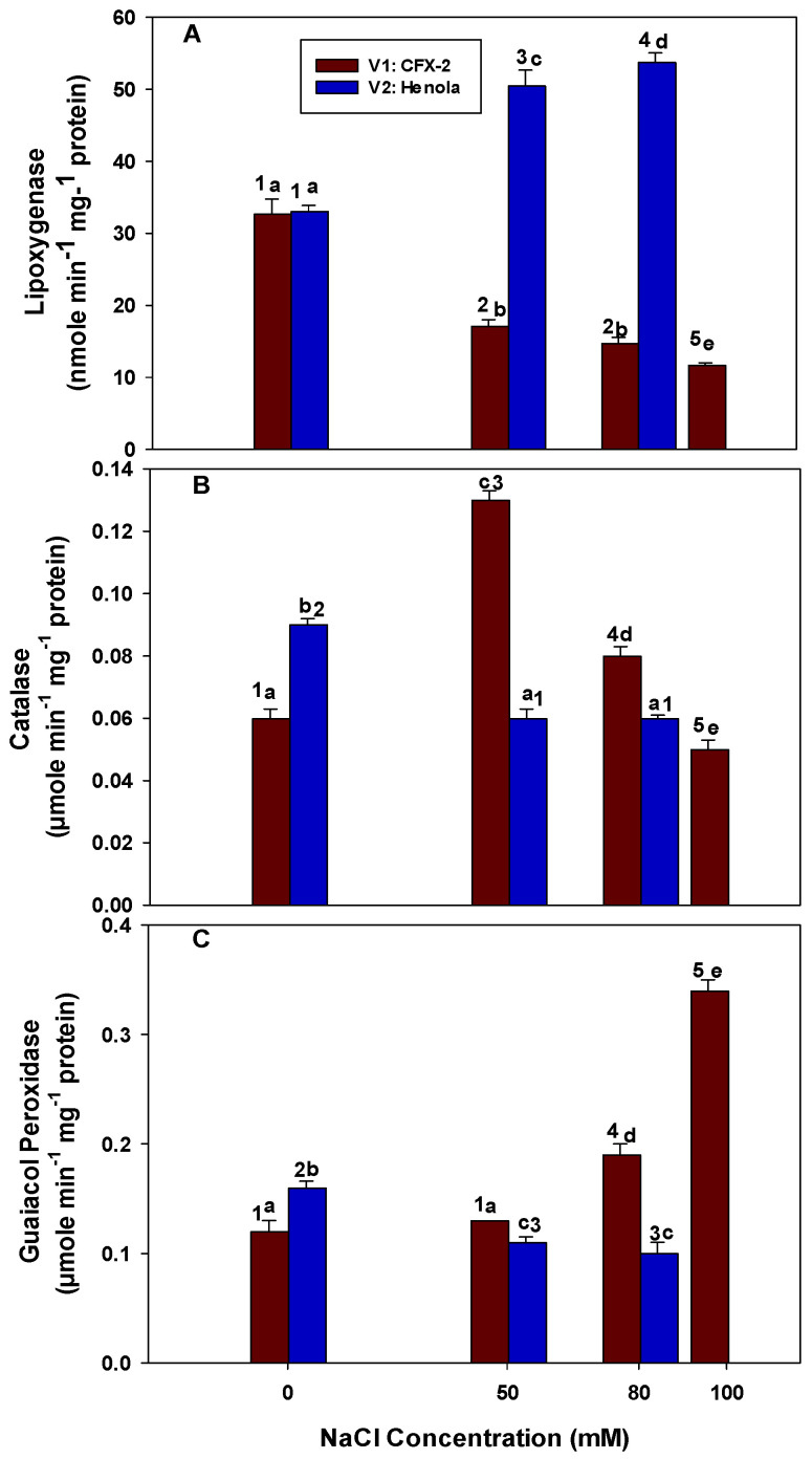 The effects of NaCl on IH leaf LOX-specific activity (Panel (A)), CAT-specific activity (Panel (B)), and GPOD-specific activity (Panel (C)). Vertical bars represent SE. Different lowercase letters indicates significant differences among the varieties, and different numerals represent significant treatment differences. These mean values (n = 15) are separated using LSD at p < 0.05. Data at 100 mM NaCl are given for V1 only, as plants did not survive in V2 at this NaCl concentration. Interactions were non-significant.