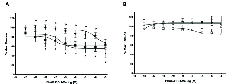 Effect of indomethacin (10–6 M) on the cumulative concentration-response curve to PHAR-DBH-Me (10–12–10–5 M) in aortic rings with (A) and without endothelium (B) pre-contracted with phenylephrine (10–6 M) (● and ○), in presence of indomethacin (▲and Δ) and L-NAME (300 μM) plus indomethacin (◼ and □).The data are expressed as the percentage of the maximum tension induced by phenylephrine and are shown as the mean ± SD, n = 5 rat in each group. *Denotes that the differences are significant (p < 0.05) between ● and ▲. †Denotes that the differences are significant (p < 0.05) between ● and ◼.