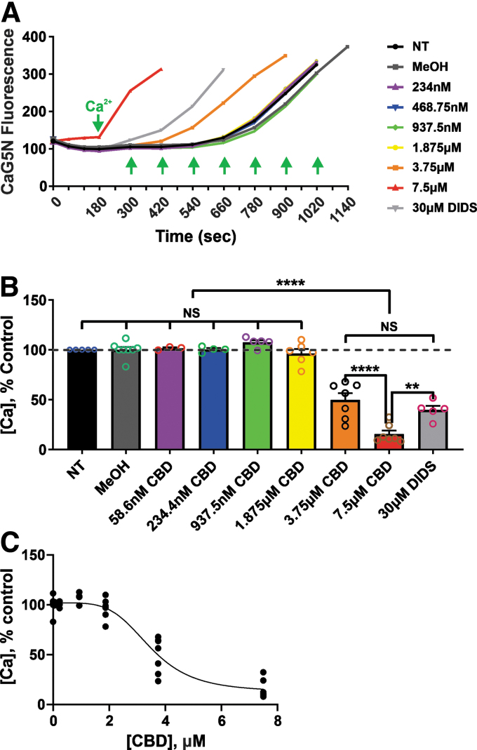CBD reduces the threshold for mPT and calcium uptake in acutely isolated rat brain mitochondria. (A) Representative Ca2+ infusion traces demonstrating that CBD, at concentrations >1.875 μM, reduced the threshold for Ca2+-induced mPT in acutely isolated rat brain mitochondria. The y-axis of the graph is expressed in CaG5N fluorescence AU. (B) Summary bar graph reflecting the mean±SEM of mPT thresholds at different CBD concentrations. The y-axis indicates the amount of Ca2+ added to the mitochondrial suspension. mPT threshold and calcium uptake were significantly reduced by CBD at concentrations >1.875 μM. (C) Shows the concentration–response curve for inhibition of calcium uptake by CBD. CBD, at concentrations lower than ∼2 μM, does not affect mitochondrial mPT and calcium uptake. Data are expressed as mean±SEM (n=3∼8 rats per group) and NS, **p<0.01, and ****p<0.0001; statistical analysis was performed using one-way ANOVA with Tukey post hoc test, [F(8, 41)=(73.42), p<0.0001]. AU, arbitrary units; mPT, mitochondrial permeability transition; NS, nonsignificant.