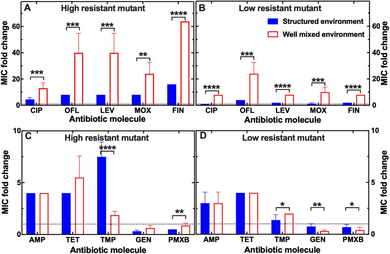 Impact of the environmental structure on the emergence of genetic multidrug resistance.Cross-resistance to other fluoroquinolones of (a) high and (b) low resistant mutants to ciprofloxacin emerged from evolutionary experiments in the structured (blue filled bars) and well-mixed environment (red empty bars). Cross-resistance to molecules from other antibiotic classes of (c) high and (d) low resistant mutants to ciprofloxacin emerged from evolutionary experiments in the structured (blue filled bars) and well-mixed environment (red empty bars). Resistance was measured as the MIC fold change compared with the MICPS and was calculated as the mean and standard error of the mean of 8 technical replicate measurements. The high and low resistant mutants were chosen as the mutants that had a ciprofloxacin MIC fold change closest to the most probable value within evolutionary experiments in the structured and well-mixed environment using ciprofloxacin at 100% and 25% the MICPS, respectively. The dotted horizontal line indicates an MIC fold change of 1. *: p <0.05; **: p <0.01; ***: p <0.001; ****: p <0.0001.