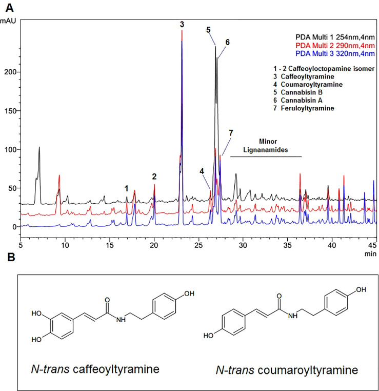 (A) UHPLC profile of the ethyl acetate fraction from hempseed from Cannabis sativa L. (B) Structures of N-trans-caffeoyltyramine and N-trans-coumaroyltyramine.