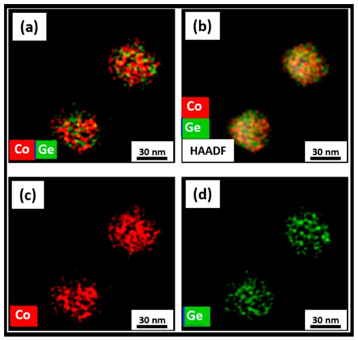 STEM studies on the further annealed Co2Ge NPs and EDS elemental color mappings showing: (a) Co and Ge distributions; (b) Co and Ge distributions with a HAADF image; (c) Co; and (d) Ge.