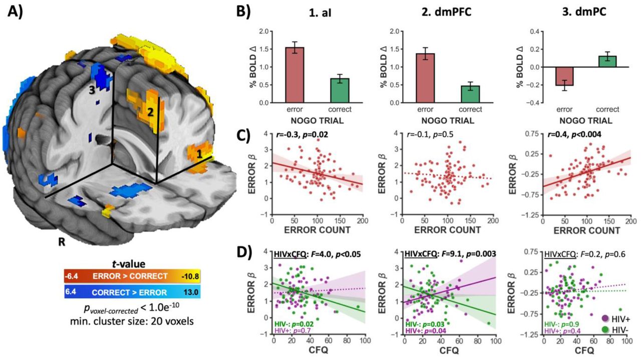 Whole-brain activity following error [E] and correct [C] NoGo trials.A) Across the sample of 103 participants demonstrating sufficient task engagement (i.e., responded to >50% of Go trials), cognitive control failures (errors) were associated with increased activity in the bilateral anterior insula (aI), dorsal medial prefrontal cortex (dmPFC), left thalamus, and left primary motor cortex extending into supplementary motor regions (warm colors, E>C). On the other hand, cognitive control successes (inhibitions) were associated with increased activity in the bilateral putamen and dorsal medial parietal cortex (dmPC; cold colors, C>E; pcorrected<1.0e- 10). B) Mean percent BOLD signal change (β) values for NoGo-error and -correct trials from the (1) left aI, (2) dmPFC, and (3) right dmPC (numbering corresponds to that shown in panel A). C) Correlations between error-related β values from each ROI and an objective measure of cognitive failures. More error-related left aI activity (pBonferronni-corrected=0.02) and more right (pBonferronni-corrected<0.004) and left dmPC activity [r(101)=0.4, pBonferronni-corrected<0.004, data not shown] correlated with fewer NoGo errors. D) Significant HIV x CFQ interactions were detected when considering error-related left aI (p=0.049) and dmPFC activity (p=0.003) such that more activity was linked with less self-reported cognitive failures among HIV-participants (green), but not among HIV+ participants (purple). See Supplemental Table S7 for cluster coordinates.