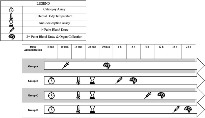 Please revise Figure 2 Alt-Text to read “Timeline chart showing drug administration and testing schedules for Groups A, B, C, and D across several hours. Symbols denote the timing of catalepsy assay, internal body temperature, anti-nociception assay, blood draws, and organ collection. Group A has activities at 15 minutes, and 30 minutes. Group B are at 1 hours, and 3 hours. Group C at 6 hour, and 12 hours. Group D at 18 hours, and 24 hours.”