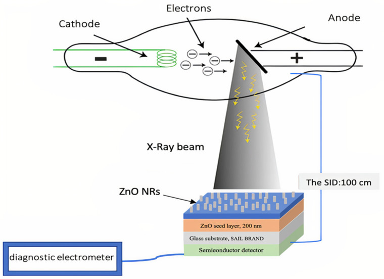 Schematic diagram of Experimental Setup.