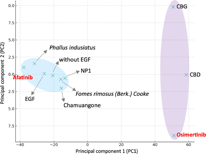 PCA of phosphoproteomics data across experimental groups. This plot visualizes the distribution of 10 experimental groups, including negative control (EGF and without EGF), positive control (Afatinib and Osimertinib) and treated samples. The plot delineates the clustering of samples, with specific regions highlighted to indicate similarities in phosphoprotein expression profiles: the purple region suggests a closer relationship between phosphoproteins responding to CBD and CBG with Osimertinib, while the blue region indicates a greater similarity of phosphoproteins associated with Phallus indusiatus extract, Fomes rimosus (Berk.) Cooke extract, Chamuangone, and NP1 peptide to Afatinib. (For interpretation of the references to color in this figure legend, the reader is referred to the web version of this article.)