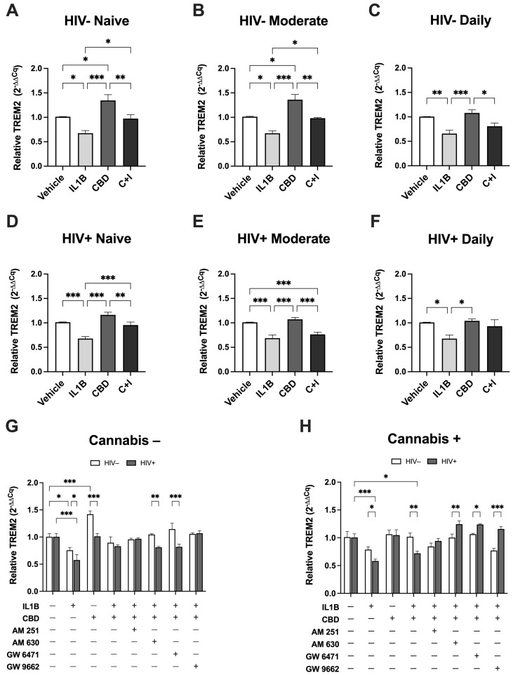 Cannabis use and HIV status differentially modulate TREM2 expression in monocyte-derived macrophages treated with CBD. (A) Relative TREM2 expression in HIV− Naïve (n = 10), (B) HIV− Moderate (n = 3), (C) HIV− Daily (n = 8), (D) HIV+ Naïve (n = 22), (E) HIV+ Moderate (n = 13), and (F) HIV+ Daily (n = 7) MDMs treated with IL1B (20 ng/mL), CBD (30 µM), or cotreatment with CBD and IL1B (C + I). (G,H) Relative TREM2 expression after treatment with IL1B, CBD, or C + I alone and in combination with cannabinoid PPAR antagonists in (G) non-cannabis-user MDMs and (H) cannabis-user MDMs. Data presented as mean ± SEM relative expression in TREM2 normalized to vehicle controls using ACTB. Data analyzed using one-way (A–F) and two-way (G,H) ANOVA with Holm–Sidak’s multiple comparisons tests. Statistical significance was determined at * p < 0.05, ** p < 0.01, *** p < 0.001. All inhibitor concentrations were 10 µM. AM 251, CB1 antagonist; AM 630, CB2 antagonist; GW 6471, PPARα antagonist; GW 9662, PPARγ antagonist.