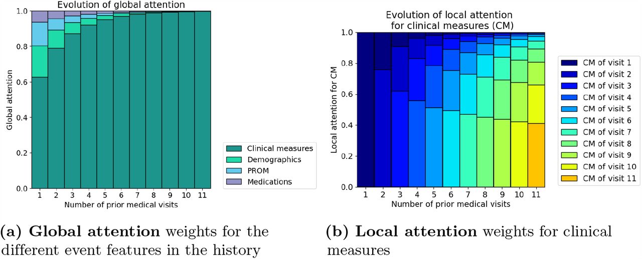 Local and global attention weightsfor increasing number of medical visits (i.e. increasing patient histories) aggregated over the patients in the test set. The global attention shows that the model uses clinical measures the most for the predictions. Furthermore, this pattern grows stronger as the number of available clinical measures increases. The local attention shows that within the clinical measures, most of the weight is attributed to the recent clinical measures.