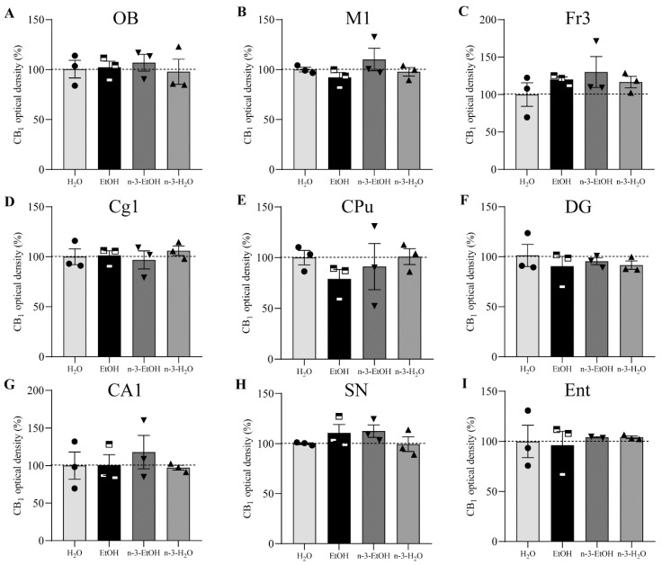 Normalized (%) CB1 receptor optical density in the OB (A), M1 (B), Fr3 (C), Cg1 (D), CPu (E), DG (F), CA1 (G), SN (H), and Ent (I). Pooled data are expressed as mean ± SEM (one-way ANOVA, Dunn’s and Holm Sidak’s multiple comparisons tests).