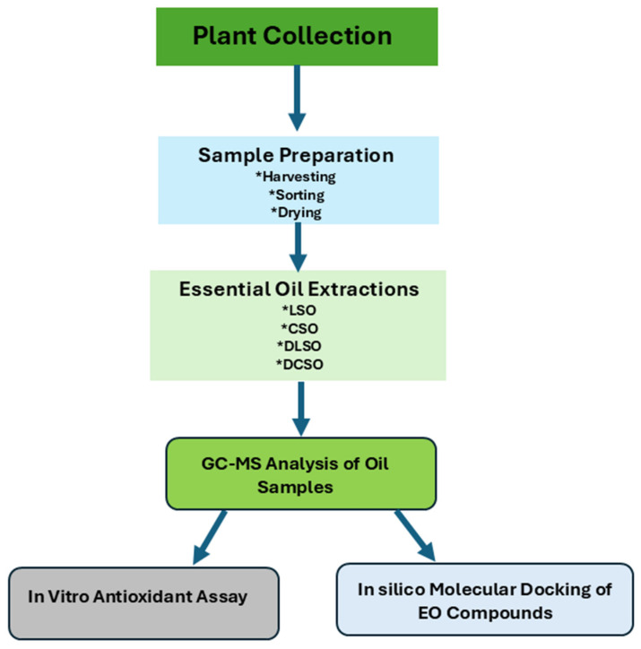 Schematic flowchart.