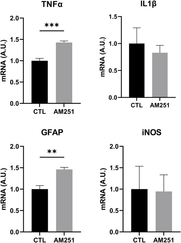 qRT-PCR of TNFα, IL1β, GFAP and iNOS from retinas of AM251-treated eyes and their respective CTL. Means and standard deviations are shown. **p < 0.01; ***p < 0.001.