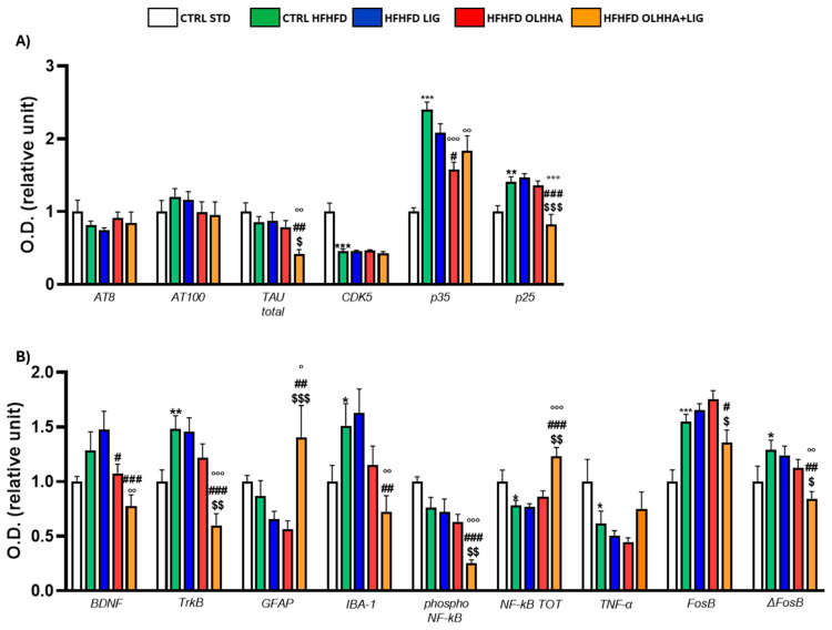 Expression in hypothalamus of proteins partaking to (A) tau phosphorylation and (B) neurogenesis, neuroinflammation, and addiction. Data are expressed as mean ± SEM and analyzed by two-way ANOVA (variables: diet, treatment). * p < 0.05, ** p < 0.01, *** p < 0.001 vs. CTRL STD; ° p < 0.05, °° p < 0.01, °°° p < 0.001 vs. CTRL HFHFD; # p < 0.05, ## p < 0.01, ### p < 0.001 vs. HFHFD LIG; $ p < 0.05, $$ p < 0.01, $$$ p < 0.001 vs. HFHFD OLHHA.