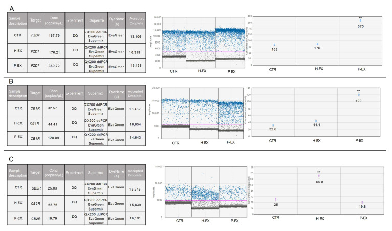 Droplet digital PCR analysis of FZD 7 (Panel A), CB1R (Panel B), and CB2R genes (Panel C) in control HepaRG cells (CTR), HepaRG cells treated with plasma-derived exosomes from healthy subjects (H-EX), and HepaRG cells treated with plasma-derived exosomes from NAFLD patients (P-EX) after 6 h of treatment. The colorful lines represent the threshold value; the blue dot represents the positive samples. p-value was determined by one-way ANOVA, ** p < 0.001.