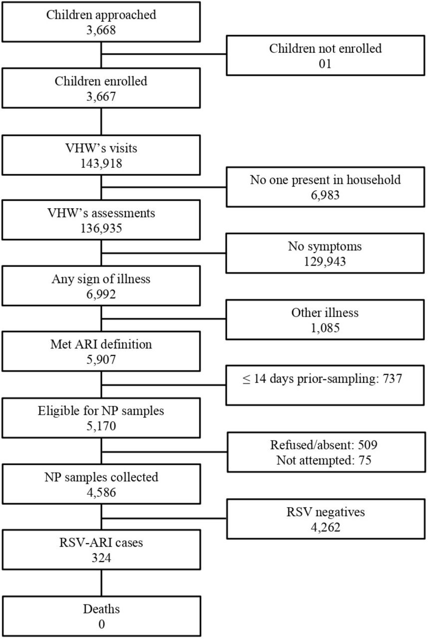 Study flow diagram of the community-based RSV-ARI surveillance in Mirzapur, Bangladesh