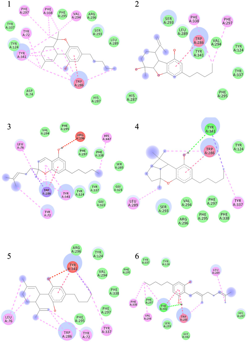 Two-dimensional binding representation of AChE with different ligands: (1) THC (tetrahydrocannabinol), (2) cannabielsoin, (3) Cannabichromene, (4) Cannabicyclol, (5) Cannabidiol, (6) Cannabigerol, (7) Cannabinol, (8) Cannabitriol, (9) Cannabivarin, (10) Donepezil, (11) Paraoxon.