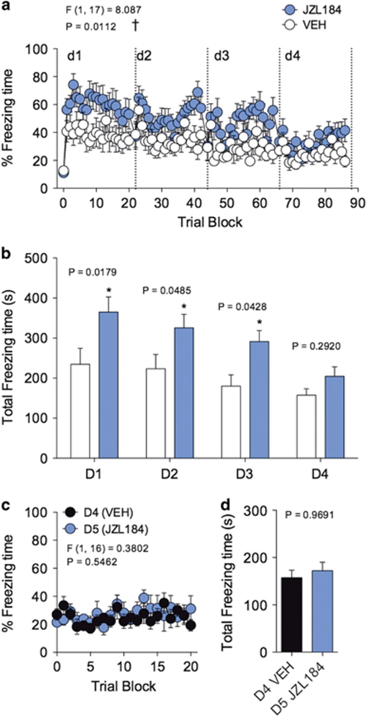 JZL184 effects on short-term fear extinction are limited by a narrow temporal window. (a) Effects of JZL184 on freezing during 4 days of short-term extinction training. (b) Effects of JZL184 on total time freezing during 4 days of short-term extinction training. (c) Effects of JZL184 on freezing of drug-naive mice on day 5, compared with freezing behavior on day 4. (d) Effects of JZL184 on total freezing time of drug-naive mice on day 5, compared with freezing behavior on day 4. †P<0.05 significant effect of drug treatment by two-way ANOVA. *P<0.05 significantly different from vehicle treatment by unpaired two-tailed t-test (bar graphs). Error bars represent s.e.m. n=10 mice per group. ANOVA, analysis of variance.