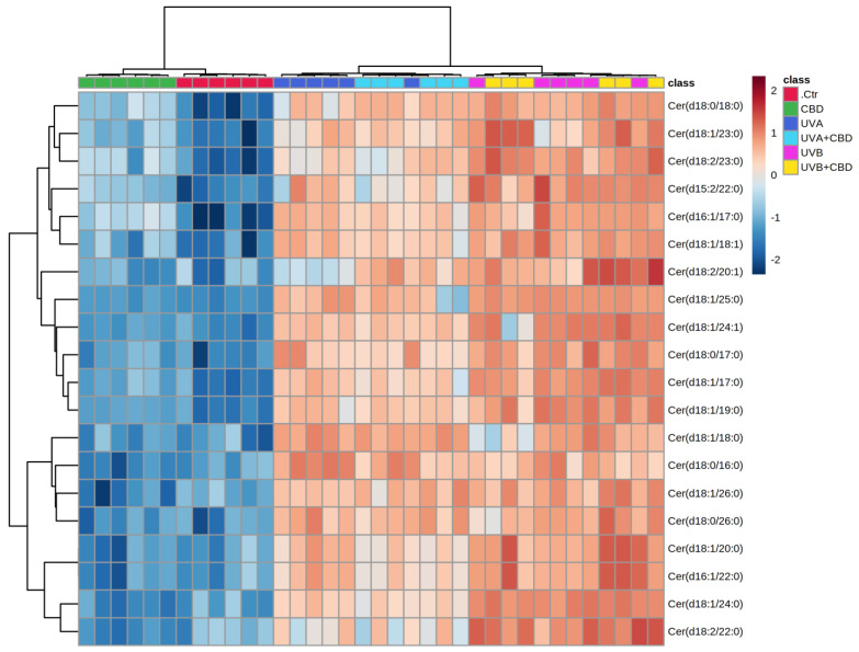 Two-dimensional hierarchical clustering heat map of the 20 most discriminating ceramide species (according to one-way ANOVA) identified in the plasma of control (Ctr) and UVA-irradiated rats (increasing doses from 0.5 to 5 J/cm2 for 4 weeks) or UVB-irradiated rats (increasing doses from 0.02 to 2 J/cm2 for 4 weeks). These animals have not been treated (Ctr, UVA, and UVB) or have been topically treated with CBD (CBD, UVA+CBD, and UVB+CBD) (2.5 g CBD in 100 g petrolatum). Levels of relative abundance are indicated on the color scale, with numbers indicating the fold difference from the grand mean. The clustering of the sample groups is represented by the dendrogram on the top. The clustering of individual ceramide species with respect to their similarity in the change of relative abundance is represented by the dendrogram to the left. Abbreviations: CBD, cannabidiol.
