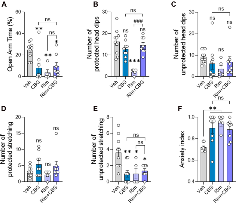 Acute CBG administration increases anxiety-like behavior in the EPM test. Mice received vehicle (Veh), CBG (10 mg/kg), rimonabant (Rim; 10 mg/kg), or Rim 30 minutes before CBG (Rim + CBG). EPM was conducted 30 minutes after CBG (or 60 minutes after Rim alone). (A) CBG reduced % open arm time. (B–D) No changes were observed in protected head dips, unprotected head dips, or protected stretch-attend postures. (E) CBG reduced unprotected stretch-attend postures. (F) CBG and/or Rim increased the anxiety index. Data are shown as mean ± SEM (n = 5–10/group) and analyzed by one-way ANOVA with Šídák’s post hoc test. ∗P < .05, ∗∗P < .01, ∗∗∗P < .001 vs Veh; ###P < .001 vs Rim; ns, not significant.
